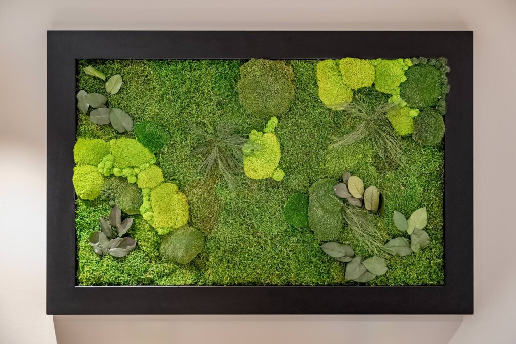 Mit unseren Lösungen im biophilen Design bringst du die Natur zurück in den Alltag. Studien zeigen: Natur im Raum senkt Stress, fördert Kreativität und verbessert das Raumklima. Unsere Moosbilder, Mooswände und Pflanzenwände schaffen genau das – durch echte Materialien, natürliche Texturen und visuelle Ruhepole. Ob im Hotel, Büro oder Wohnbereich – unsere handgefertigte Mooskunst vereint Stil und Naturverbundenheit. Die Feinwerk Manufaktur entwickelt zeitlose Konzepte für lebenswerte Innenräume in Telfs und ganz Österreich.
