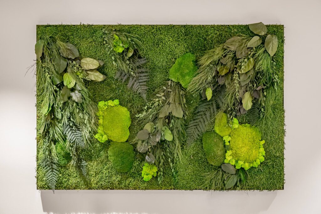 Ob Moosbilder, Pflanzenwände oder Raumtrenner: Die Naturkunstwerke der Feinwerk Manufaktur bringen biophiles Design auf ein neues Niveau. Jedes Projekt ist individuell, langlebig und ästhetisch durchdacht. Mit handgefertigter Mooskunst aus Tirol schaffst du ein wohltuendes Raumklima und setzt ein Zeichen für nachhaltige Innenraumgestaltung. Unsere Naturkunstwerke vereinen Design, Wirkung und Funktionalität – für Hotels, Praxen, Büros oder private Wohnräume. Von der Idee bis zur Umsetzung begleiten wir dich mit Herz und Handwerk. Innenarchitektur mit Seele – das ist unser Versprechen. Entdecke deine persönliche Wohlfühloase aus Moos und Pflanzen.