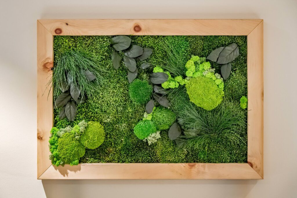 Die Moosbilder der Feinwerk Manufaktur bringen die beruhigende Kraft der Natur direkt in deine vier Wände. Jedes Bild ist ein handgefertigtes Naturkunstwerk, liebevoll gestaltet aus Wald-, Ballen- und Islandmoos – ganz ohne Pflegeaufwand. Die perfekte Lösung für alle, die natürliche Eleganz und nachhaltige Raumgestaltung schätzen. Ob Wohnzimmer, Büro oder Empfangsbereich: Unsere Moosbilder aus Tirol schaffen ein Gefühl von Ruhe und Frische. Ideal für Innenarchitektur-Projekte und biophiles Design. Erlebe, wie lebendige Wandgestaltung mit Moos deinen Raum spürbar aufwertet – 100 % natürlich, regional produziert und mit viel Liebe zum Detail gefertigt.