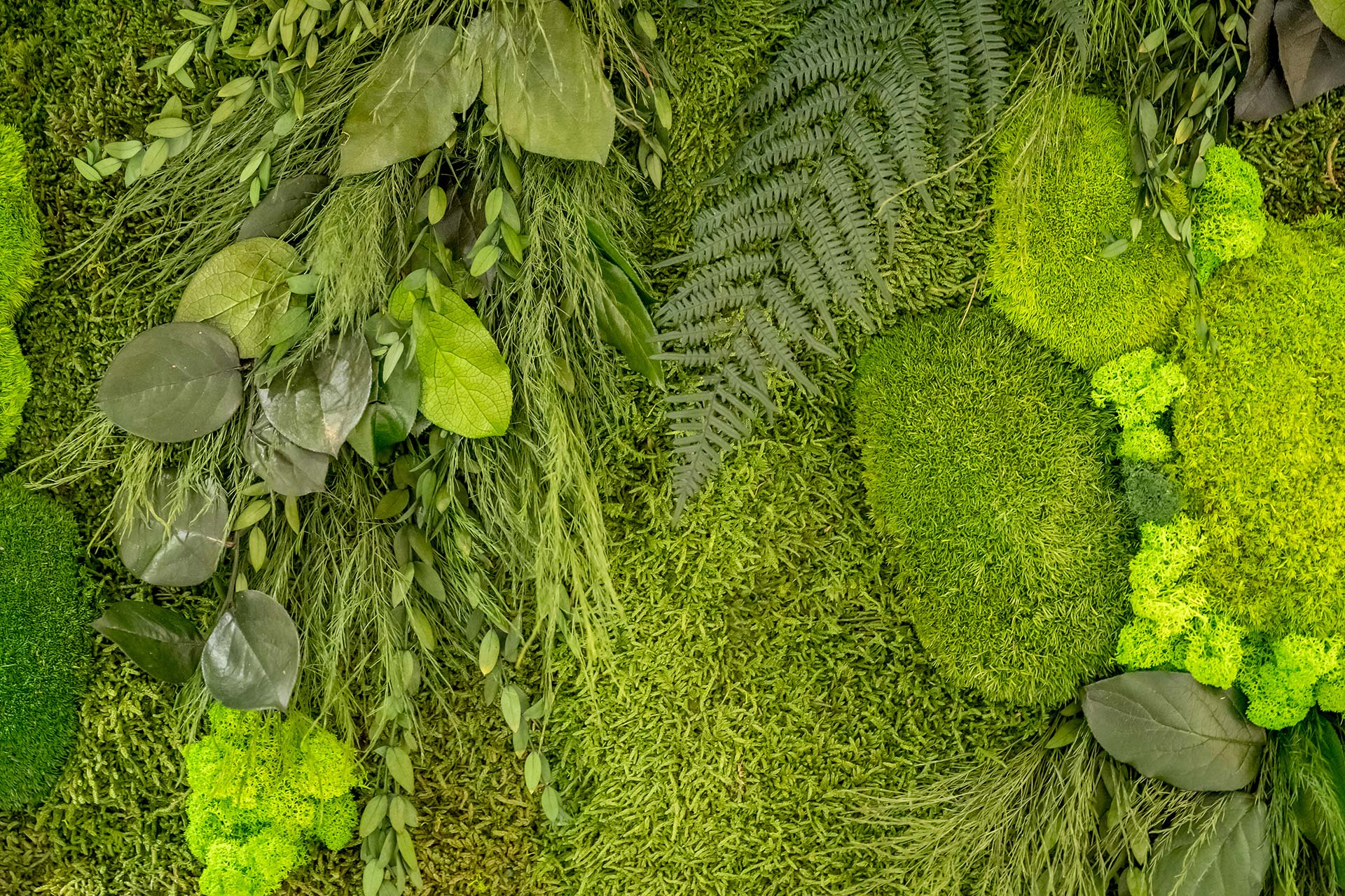 Hol dir ein Stück Natur nach Hause: Unsere Moosbilder vereinen Wald-, Ballen- und Islandmoos zu einzigartigen Naturkunstwerken mit beruhigender Wirkung. Jedes Bild ist ein handgefertigtes Unikat aus Tirol – perfekt für deine persönliche Innenraumbegrünung. Ob Wohnzimmer, Praxis oder Büro: Diese pflegefreie Pflanzendekoration ist wartungsfrei, langlebig und sorgt für eine angenehme Raumakustik. Fein abgestimmtes biophiles Design trifft auf handwerkliche Präzision – für mehr Wohlbefinden in deinen vier Wänden. Entdecke jetzt unsere individuellen Moosbilder aus der Feinwerk Manufaktur in Telfs!