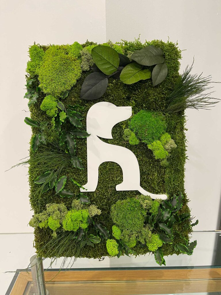Mit den Logos aus Moos von Feinwerk Manufaktur wird dein Markenauftritt zum natürlichen Blickfang. Claudia Fratzl fertigt in Tirol individuelle Moos-Logos aus natürlichen Materialien wie konserviertem Moos, Pflanzen und floralen Elementen – perfekt für Büros, Empfangsbereiche, Shops und Architekturprojekte. Die Mooslogos sind nicht nur nachhaltig und pflegefrei, sondern auch ein echter Eyecatcher, der deine Werte sichtbar macht: Natürlichkeit, Regionalität und Stil. Ideal für Unternehmen, Architekten oder Hoteliers, die besondere Akzente setzen möchten. Mach dein Logo lebendig – mit einem Mooskunstwerk, das Eindruck hinterlässt.