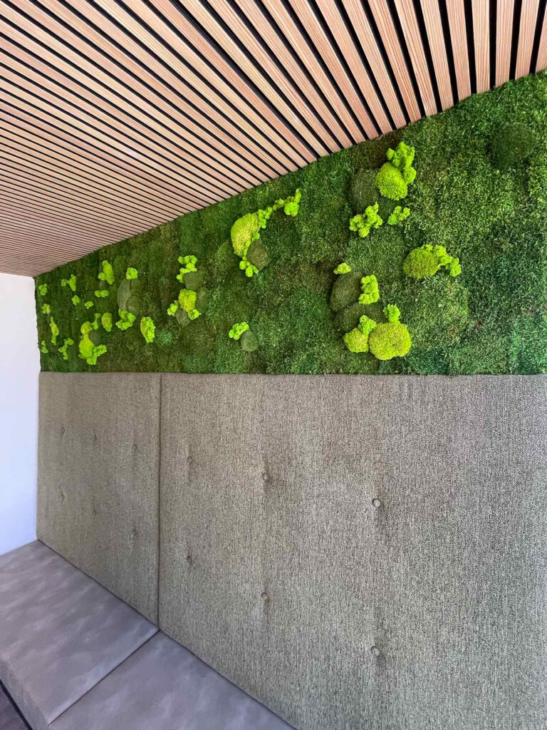 Die Raumtrenner und Akustikpaneele der Feinwerk Manufaktur vereinen Design, Funktion und Naturverbundenheit auf einzigartige Weise. Handgefertigt in Tirol, bringen sie nicht nur Struktur und Stil in Wohnräume und Büros, sondern verbessern auch nachweislich die Raumakustik. Durch die natürliche Schallabsorption des Mooses entsteht eine angenehme, ruhige Atmosphäre – ideal für konzentriertes Arbeiten oder entspanntes Wohnen. Unsere Lösungen sind wartungsfrei, zu 100 % natürlich und fügen sich harmonisch in jedes Interior ein – ob zuhause, im Office oder in architektonischen Projekten. Für mehr Ruhe, mehr Stil und ein besseres Raumgefühl – mit regionaler Qualität, die bleibt.
